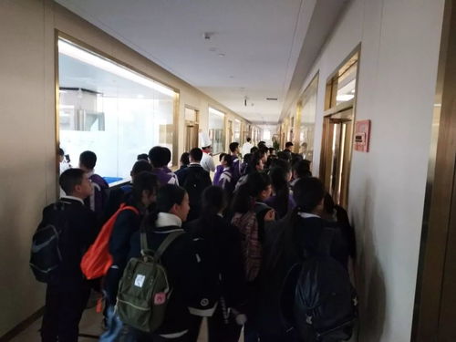 中华小当家 鲁能巴蜀中学初2021级社会大课堂的实践与收获