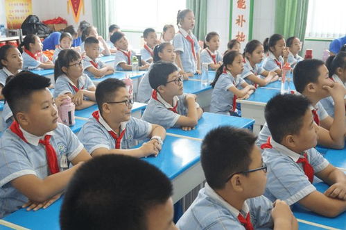 城里的孩子vs农村的孩子 教育差距背后的社会大课堂